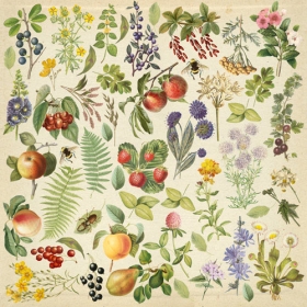 Decorative sheet for cutting "Summer Botanical Diary"