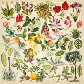 Decorative sheet for cutting "Botany Exotic"