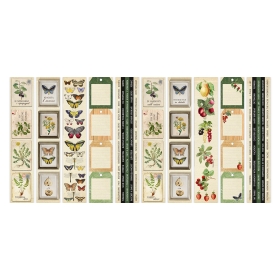 Set of stripes with pictures for decoration "Summer Botanical Diary"