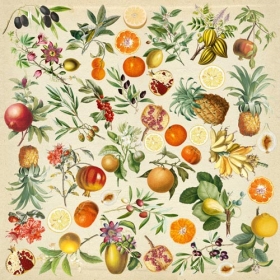  Leht kujutistega väljalõikamiseks "Eksootilised puuviljad"