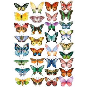Оверлей "Бабочки средние цветные "