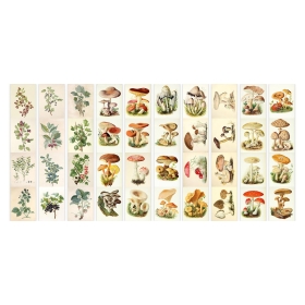 Set of stripes with pictures for decoration "Mushrooms and berries"