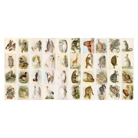 Dekoratiivsed kaardid "Loomad ja linnud"