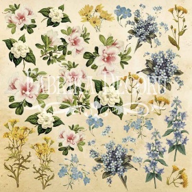 Scrapbooking Set Botany Spring Fabrika Dekor 30x30cm