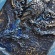 DSC04172.JPG
