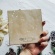 IMG_20211107_144829 copy.jpg