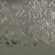 silver_peony_passion_gray021.jpg