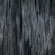 FDSP_01118_10.jpg
